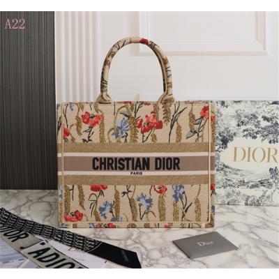 Dior Bags AAA 036